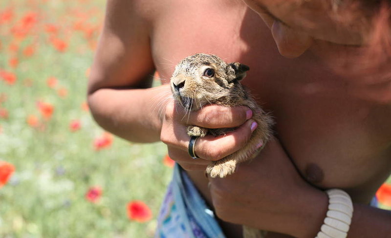 Эмилия, 33 года, 1 размер груди